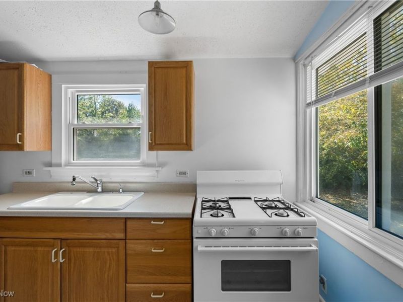 1101 Lake Avenue, Aurora, OH 44202 Photo 12