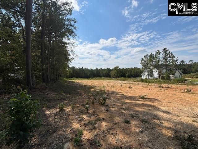 1615 Loner Road Photo 4