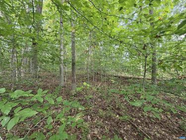 230 BEECH NUT DR, Unit 951 &, LOUISA, VA 23093