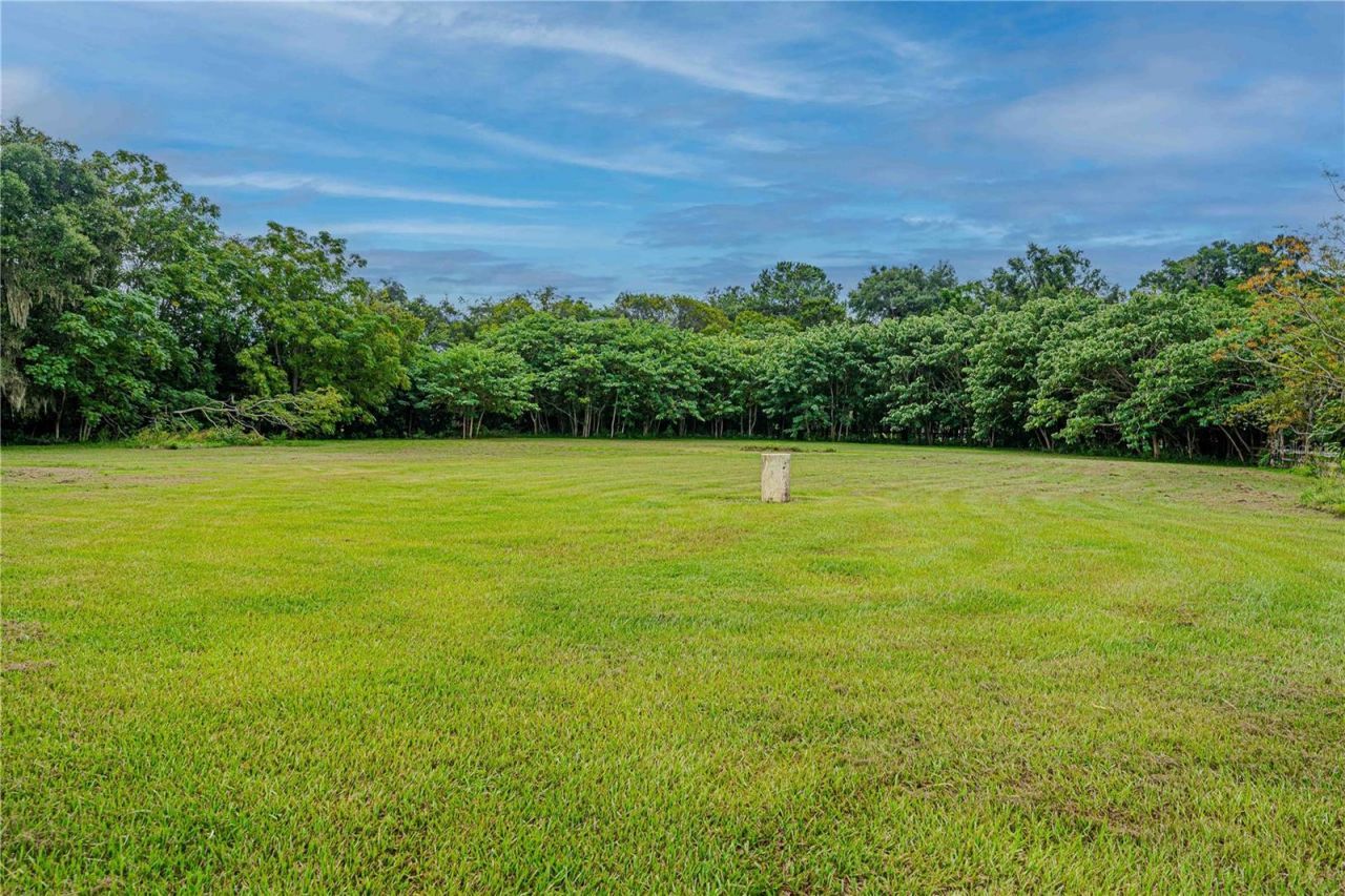 12615 NW Gainesville Road, Reddick, FL 32686 Photo