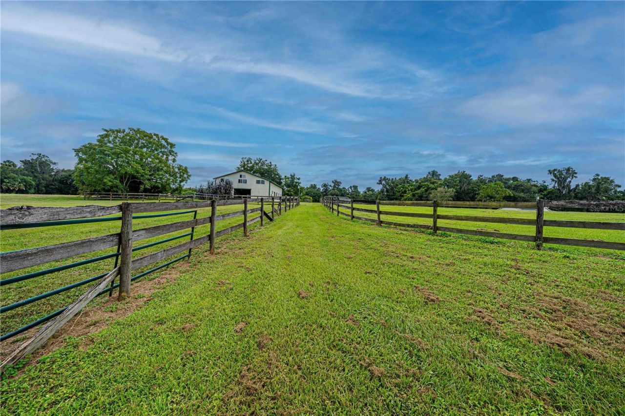 12615 NW Gainesville Road, Reddick, FL 32686 Photo