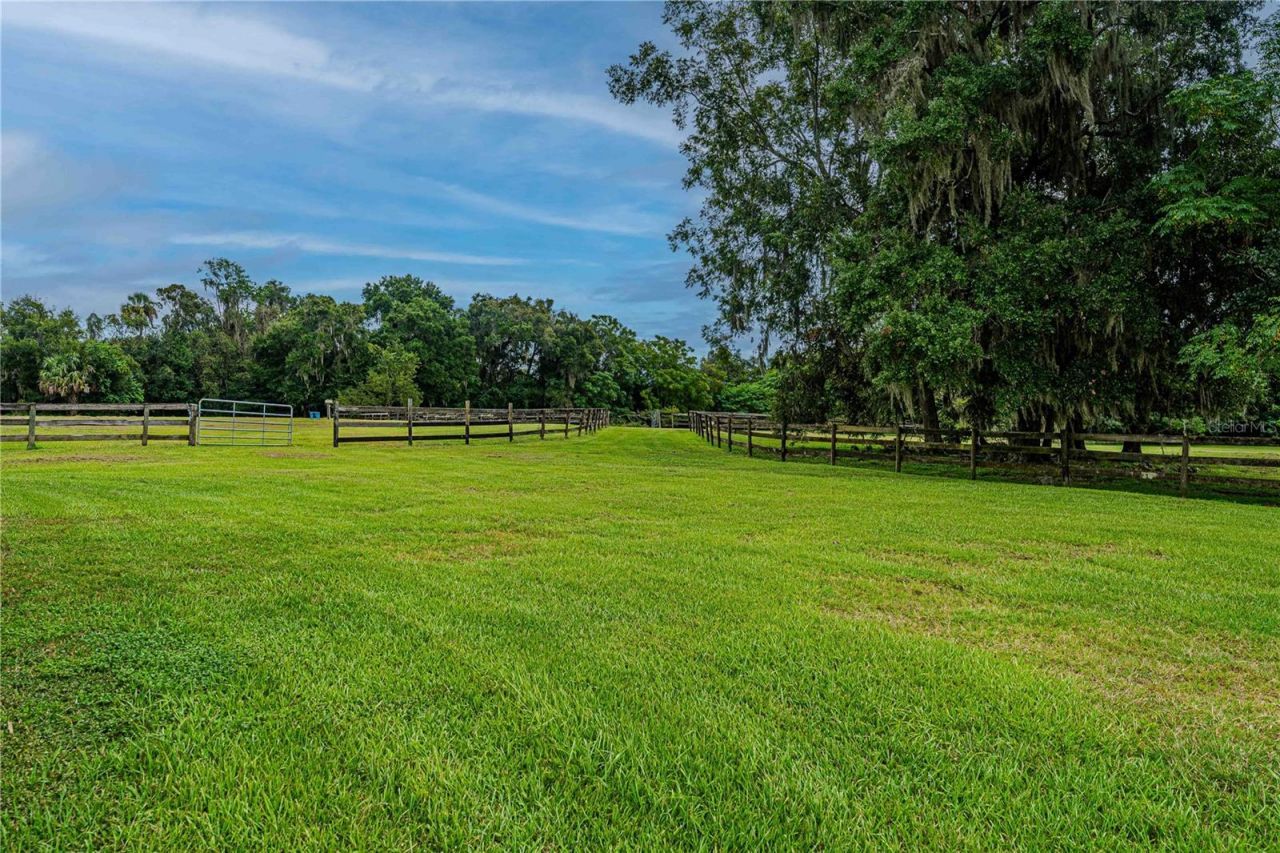 12615 NW Gainesville Road, Reddick, FL 32686 Photo