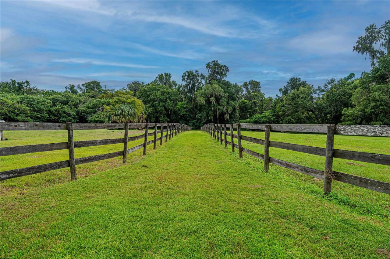 12615 NW Gainesville Road, Reddick, FL 32686 Photo