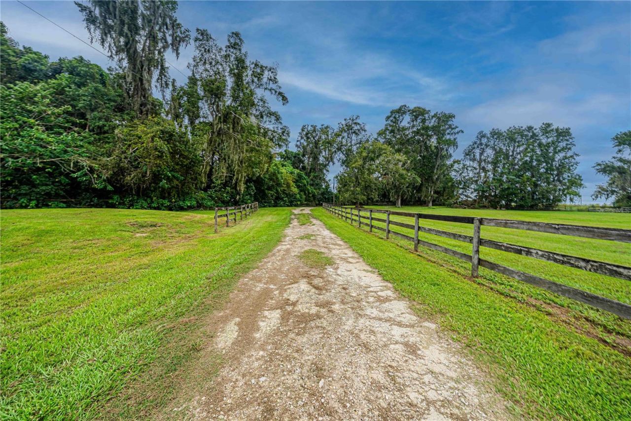 12615 NW Gainesville Road, Reddick, FL 32686 Photo