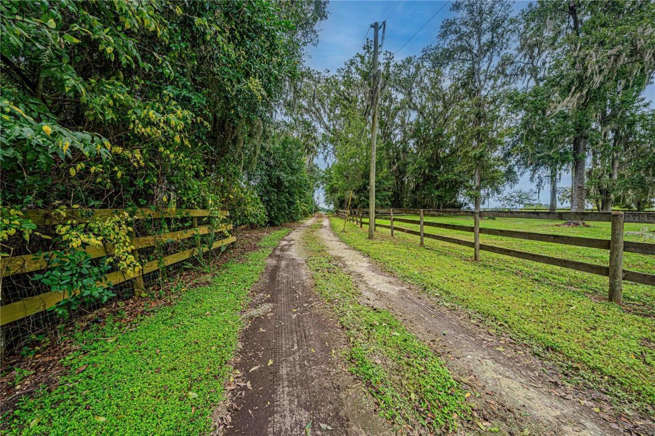 12615 NW Gainesville Road, Reddick, FL 32686 Photo