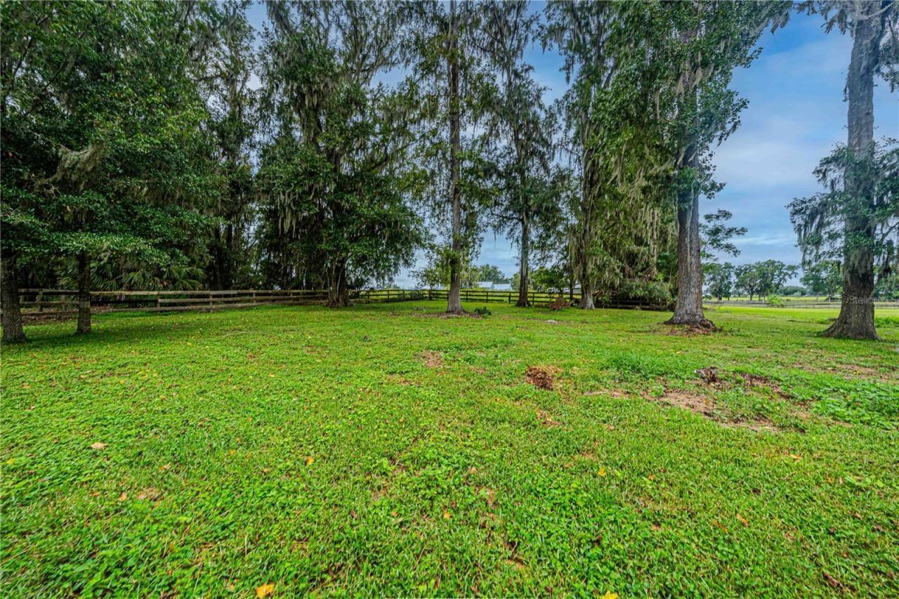 12615 NW Gainesville Road, Reddick, FL 32686 Photo