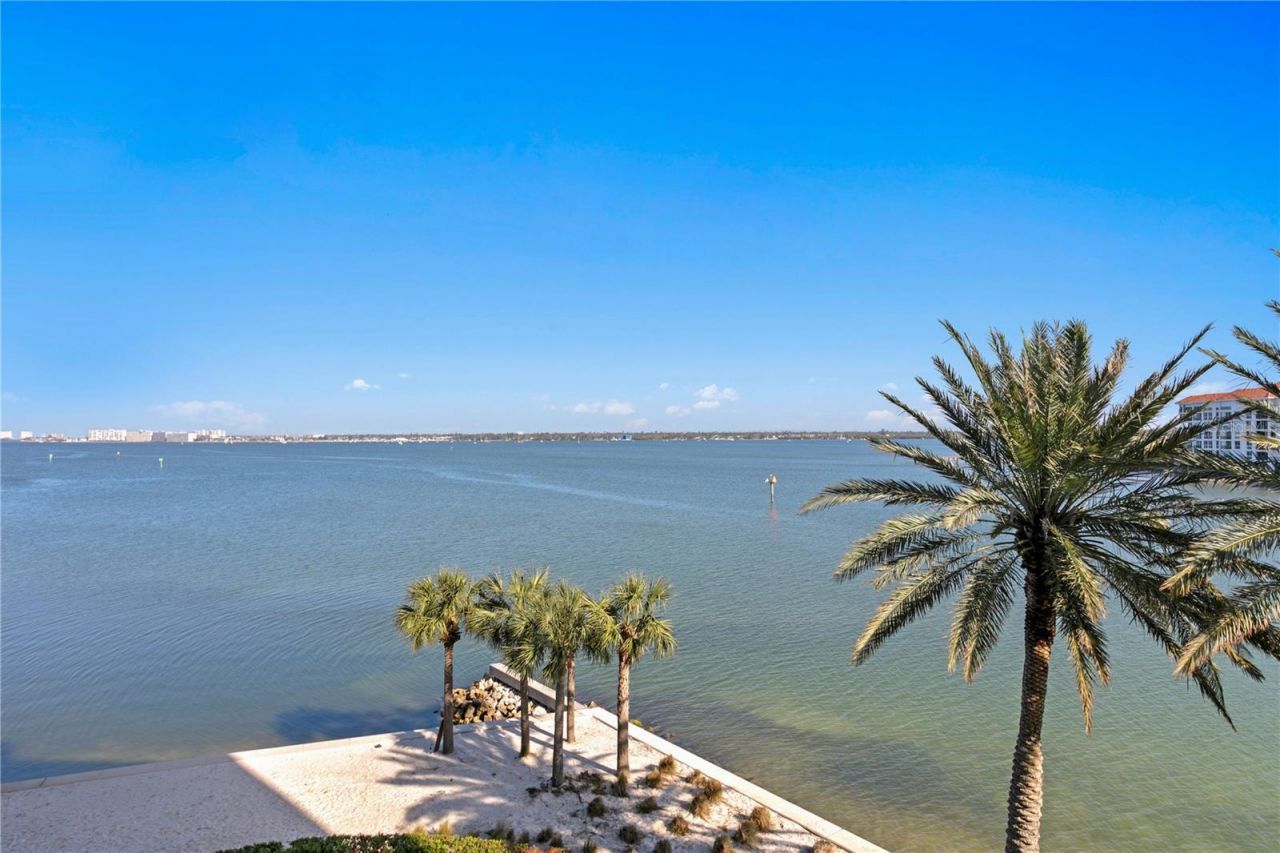 4993 Bacopa Lane S, Unit 304, Saint Petersburg, FL 33715 Photo