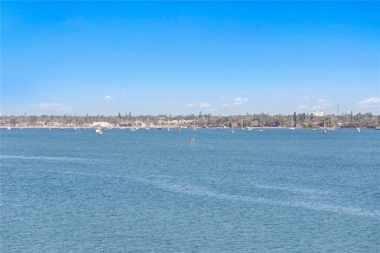 4993 Bacopa Lane S, Unit 304, Saint Petersburg, FL 33715 Photo