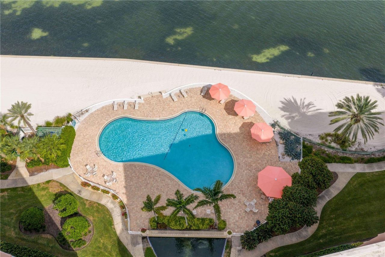 4993 Bacopa Lane S, Unit 304, Saint Petersburg, FL 33715 Photo