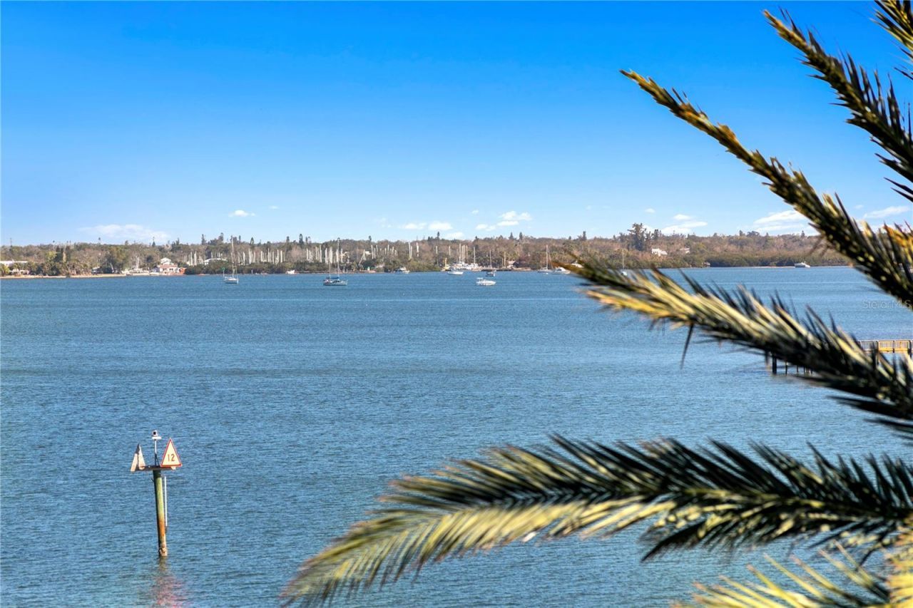 4993 Bacopa Lane S, Unit 304, Saint Petersburg, FL 33715 Photo