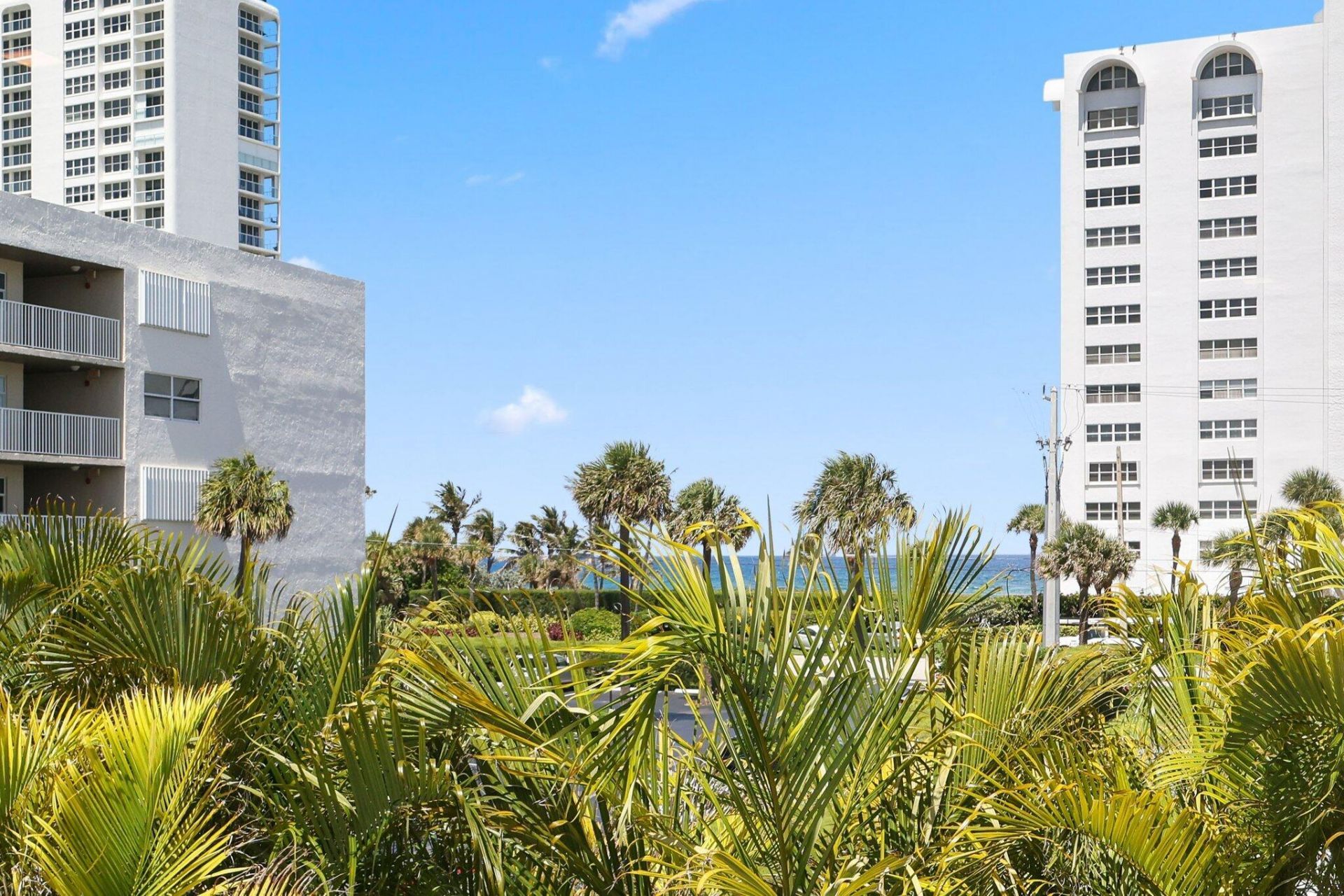 3000 Banyan Road, Unit A, Boca Raton, FL 33432 Photo