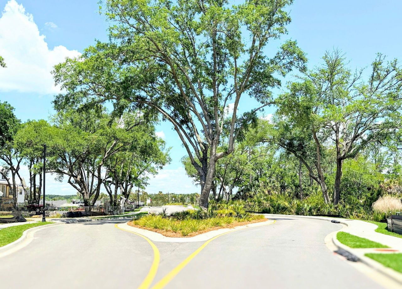 821 Roddin Street Photo 7