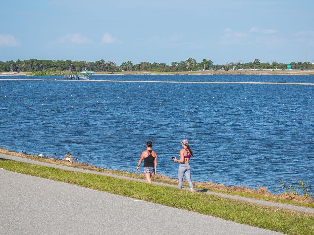 6103 Clubside Drive, Unit 6103, Sarasota, FL 34243 Photo