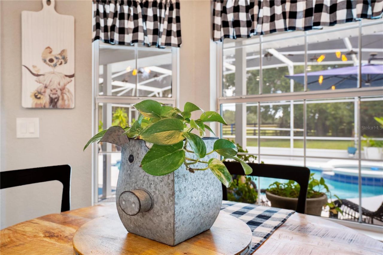 5150 Banana Point Drive, Okahumpka, FL 34762 Photo