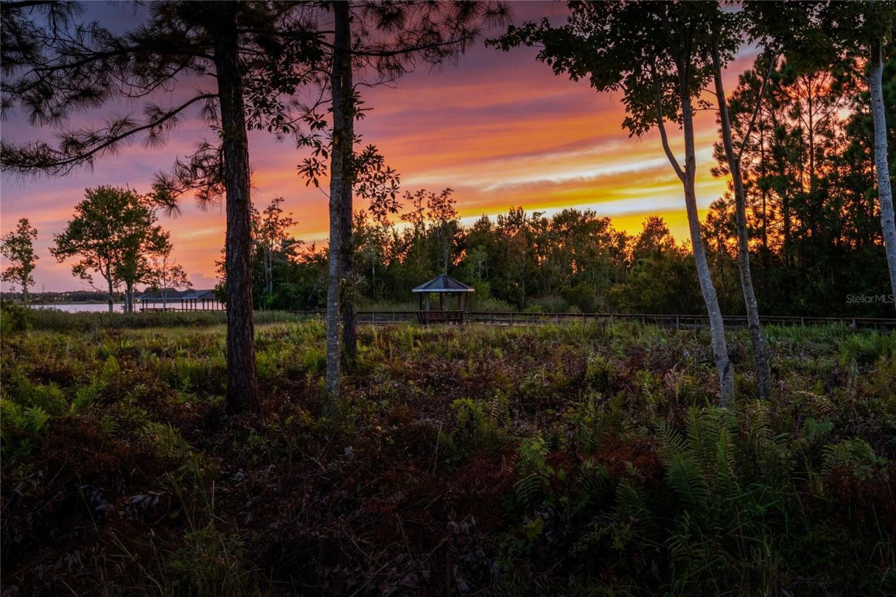 2016 Castelli Boulevard, Mount Dora, FL 32757 Photo