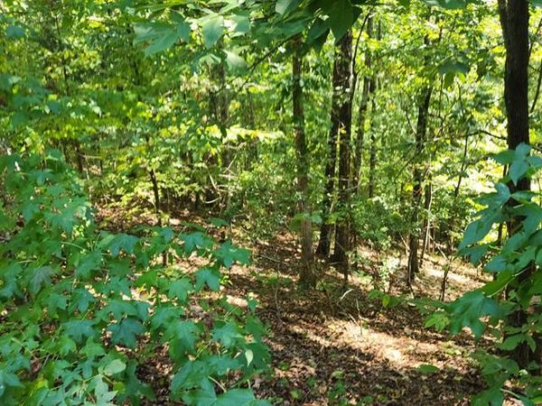 000 Kinnaird Access Rd, Camden, TN 38320