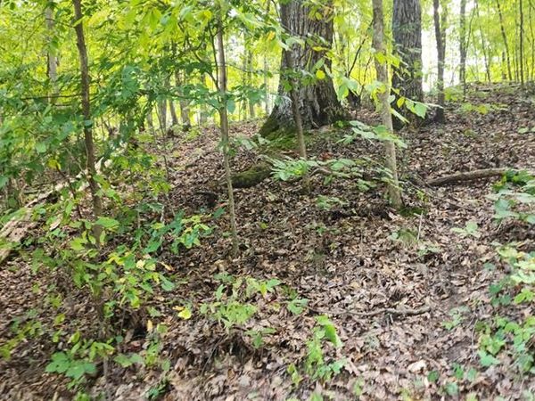 000 Highlander Rd, Camden, TN 38320