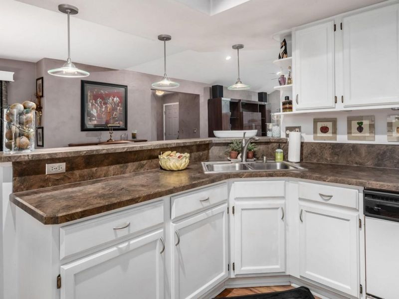 423 Hidden Ravines Drive, Powell, OH 43065 Photo 11