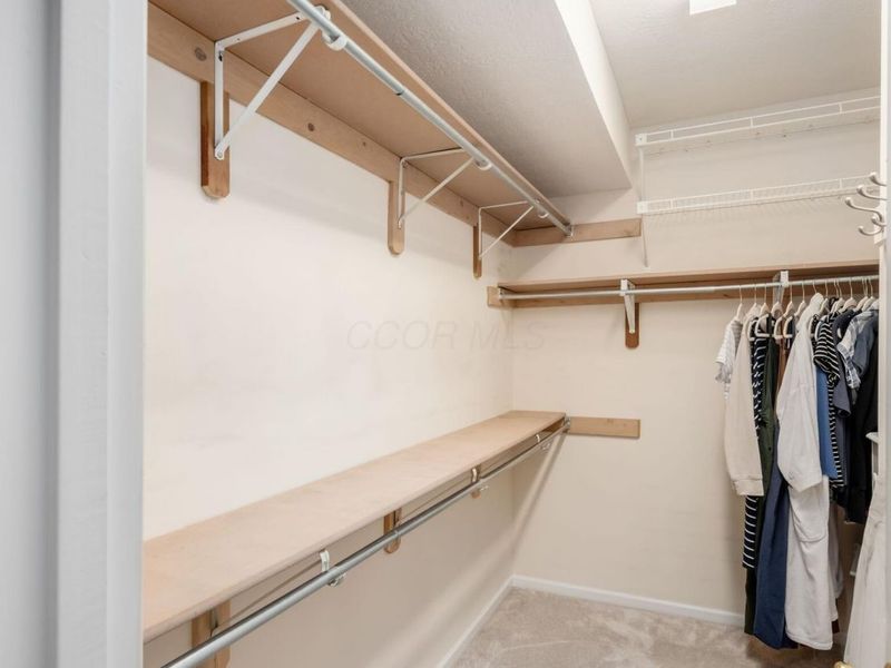 423 Hidden Ravines Drive, Powell, OH 43065 Photo 16