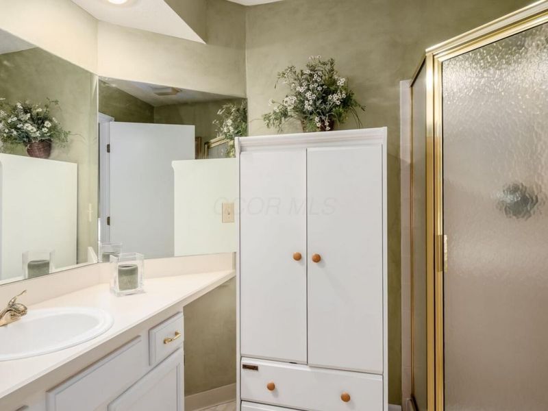 423 Hidden Ravines Drive, Powell, OH 43065 Photo 18