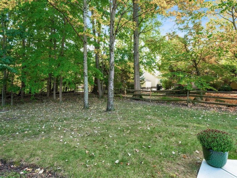 423 Hidden Ravines Drive, Powell, OH 43065 Photo 26