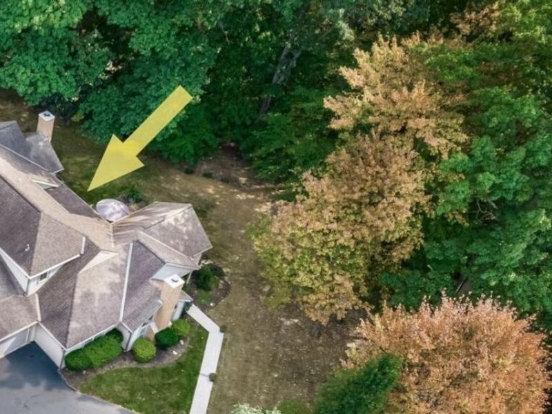 423 Hidden Ravines Drive, Powell, OH 43065 Photo 32