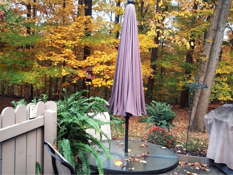 423 Hidden Ravines Drive, Powell, OH 43065 Photo 33