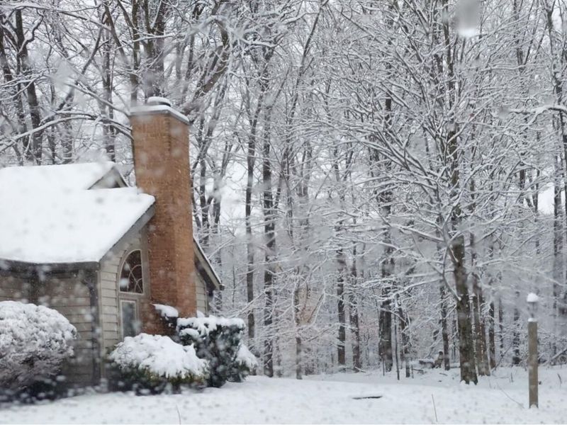 423 Hidden Ravines Drive, Powell, OH 43065 Photo 34