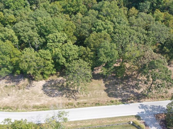 000 Black Oak Resort Lane , Lampe, MO 65681