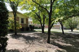 22 Archdale Road  photo 4