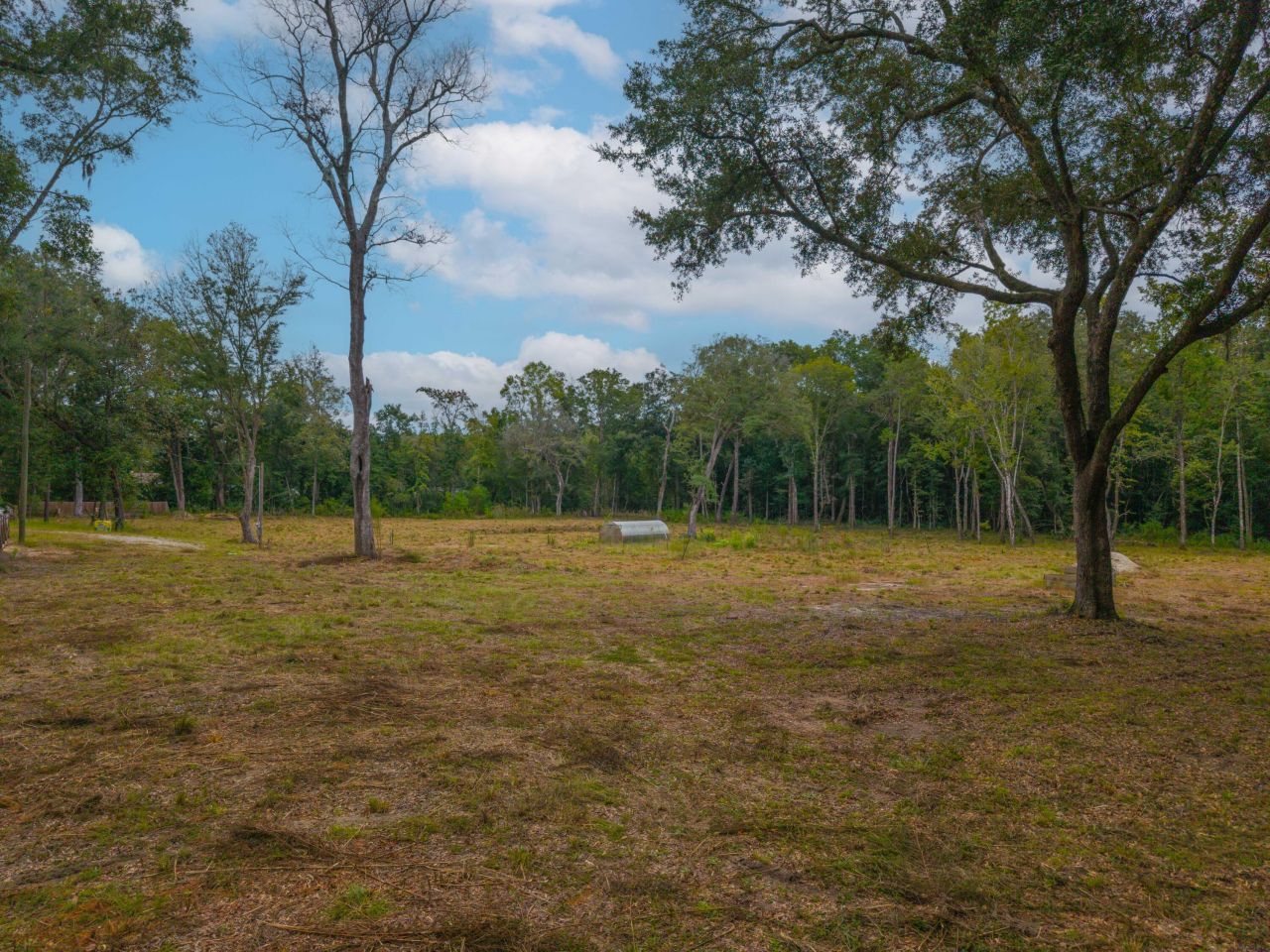 5339 Sc-162 Photo 16