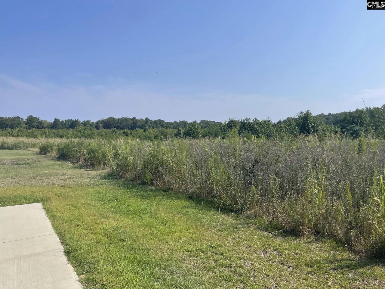 J.a. Cochran Bypass Photo 15