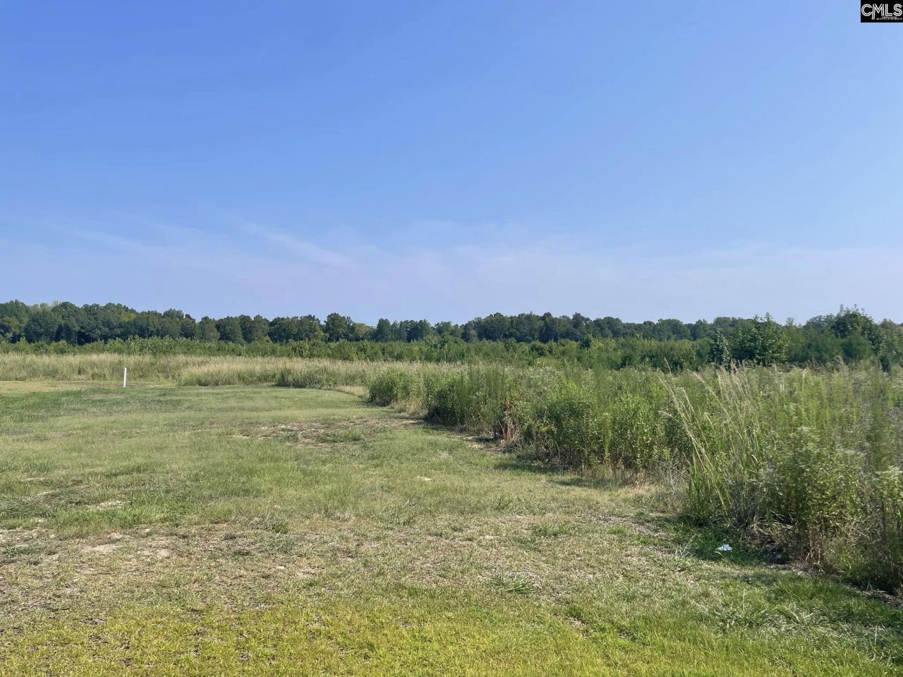 J.a. Cochran Bypass Photo 4