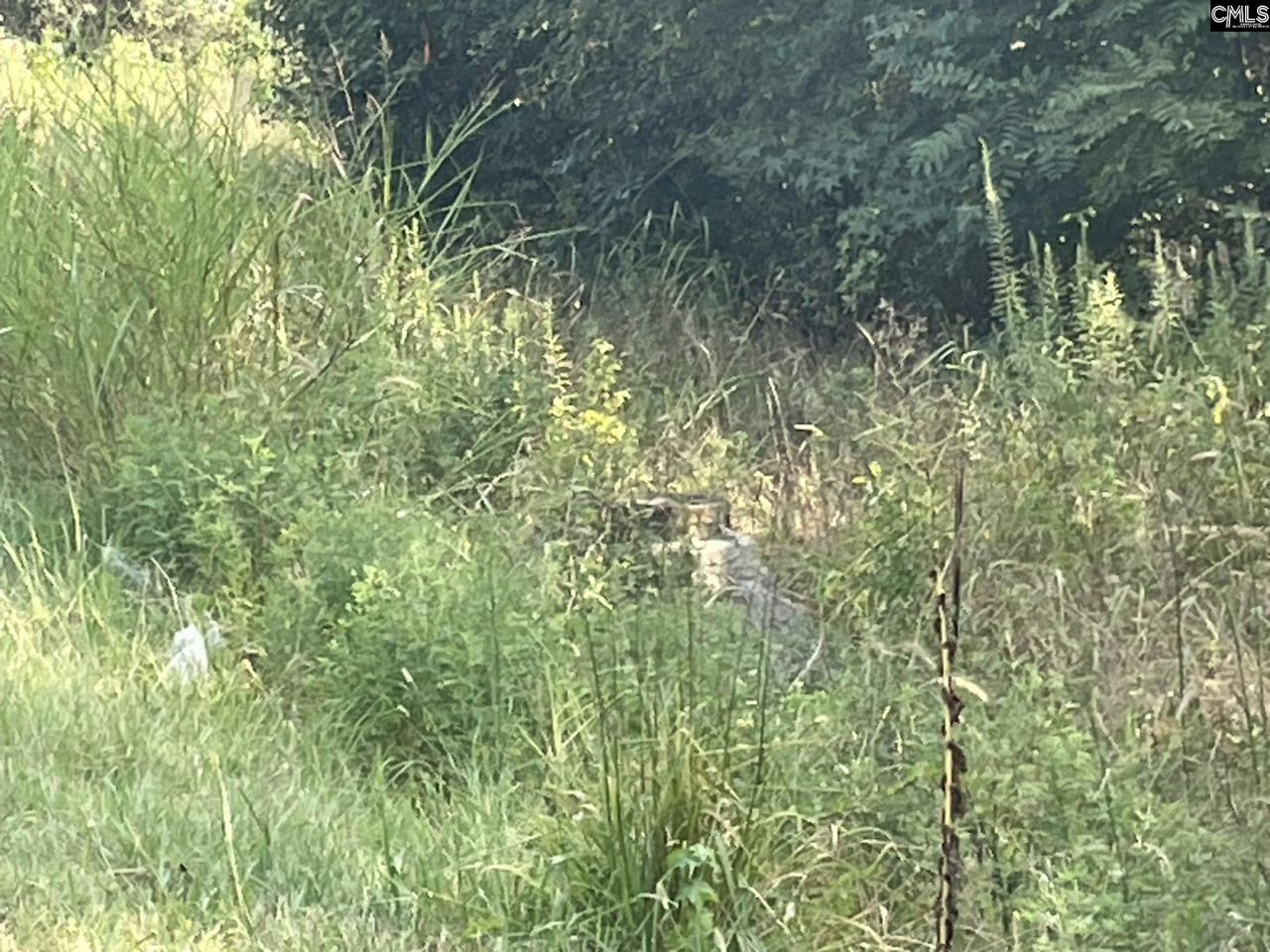 J.a. Cochran Bypass Photo 9