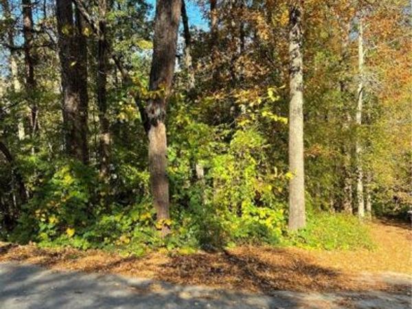 130 Valley Drive, Stockbridge, GA 30281