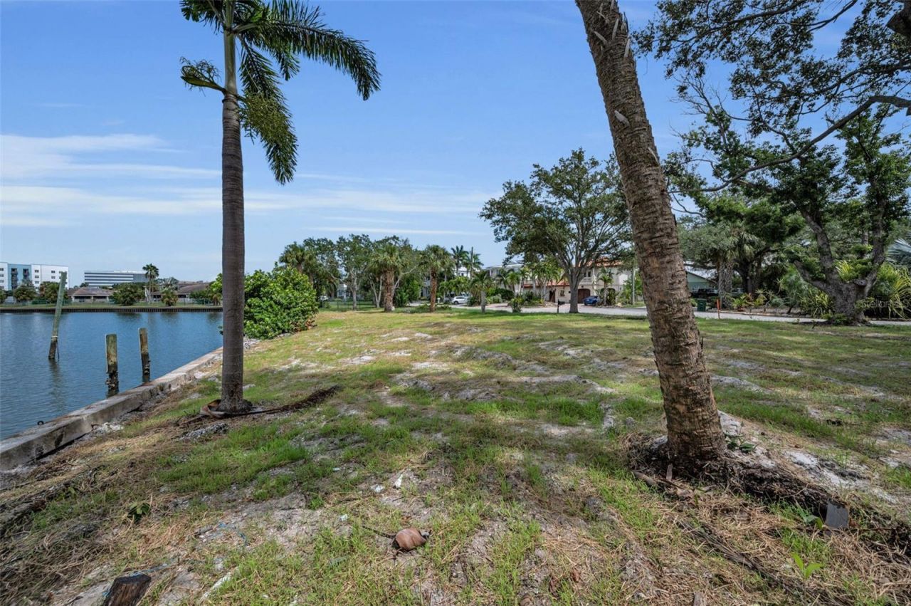 56 Sandpiper Road, Tampa, FL 33609 Photo