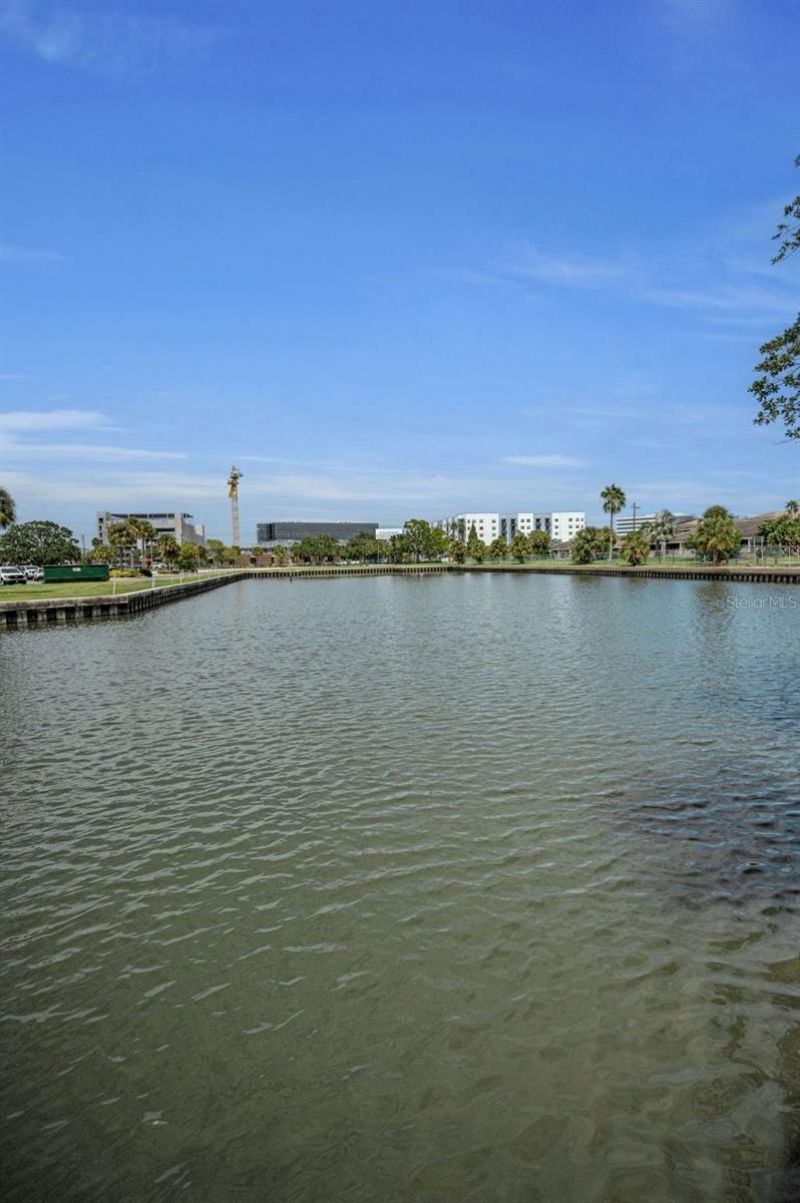 56 Sandpiper Road, Tampa, FL 33609 Photo