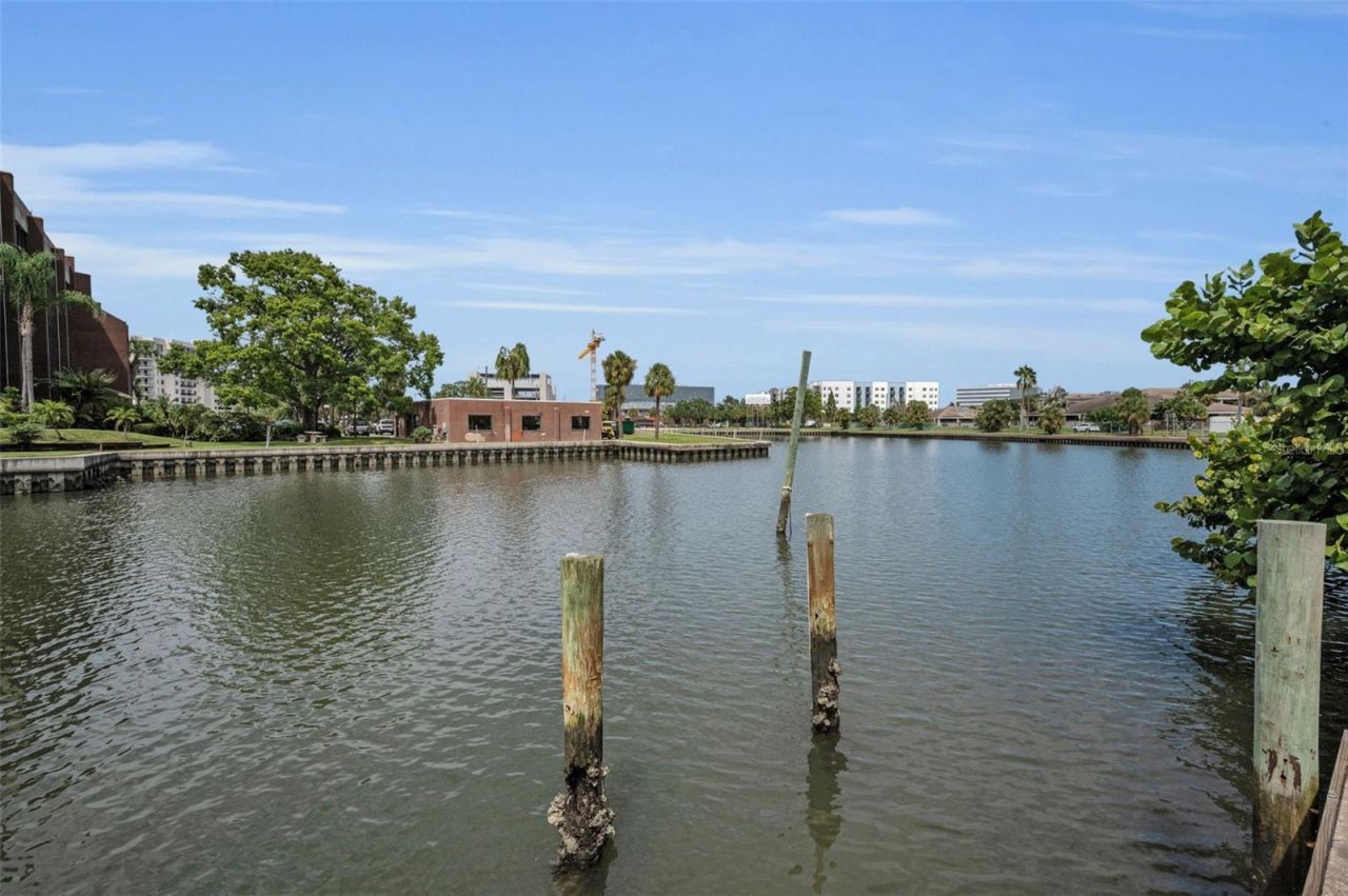 56 Sandpiper Road, Tampa, FL 33609 Photo