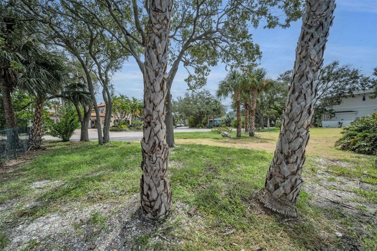 56 Sandpiper Road, Tampa, FL 33609 Photo