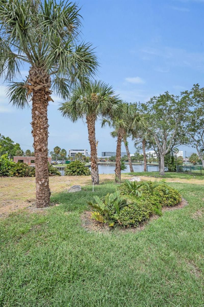 56 Sandpiper Road, Tampa, FL 33609 Photo