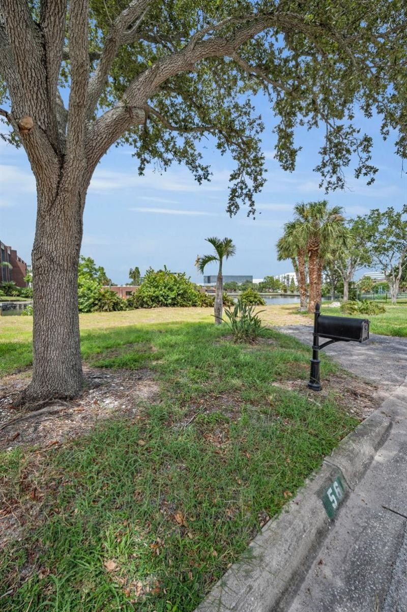 56 Sandpiper Road, Tampa, FL 33609 Photo