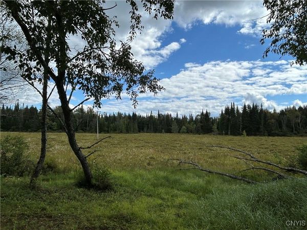 1406 Gray Wilmurt Road, Cold Brook, NY 13324