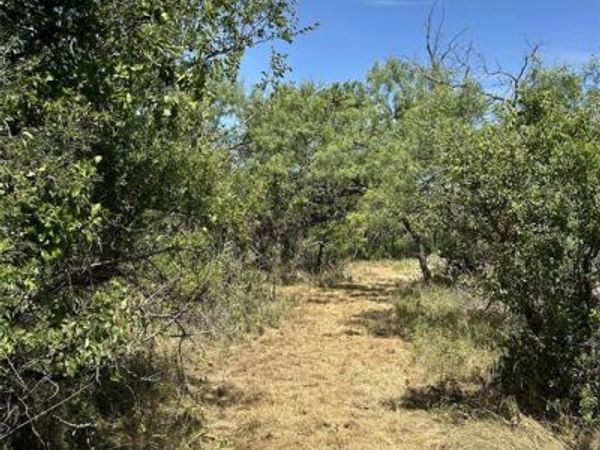 TBD 10.8 FM 1086, Winters, TX 79567