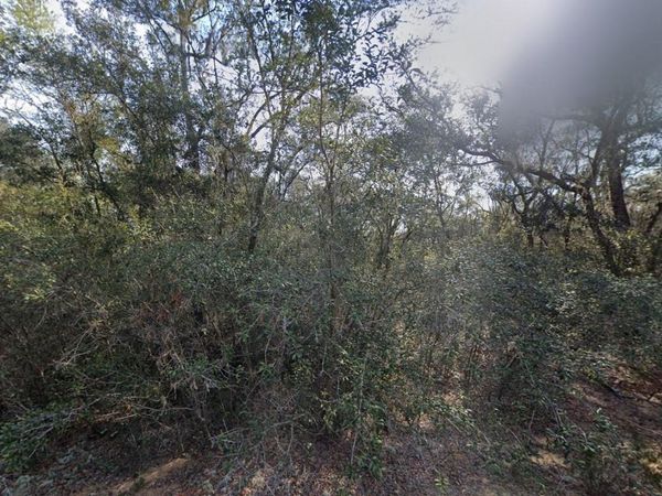 188 KAY STREET, INTERLACHEN, FL 32148