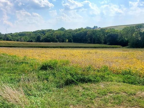 Lot Donna Reed Road, Denison, IA 51442