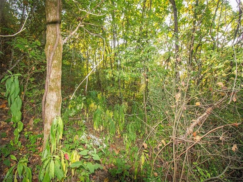 8 acres Whiskey Run Road, Quaker City, OH 43773 Photo 10