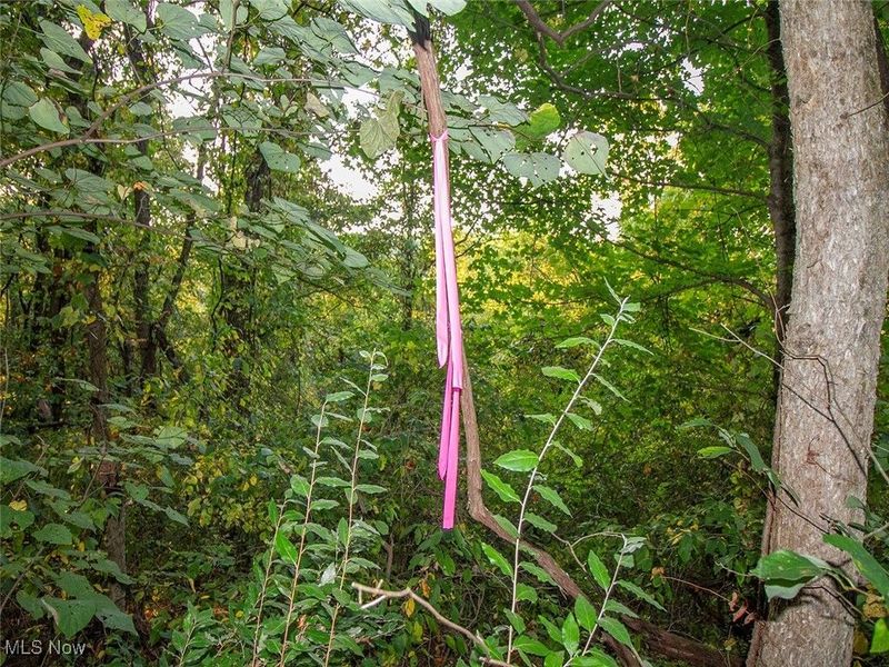 8 acres Whiskey Run Road, Quaker City, OH 43773 Photo 11