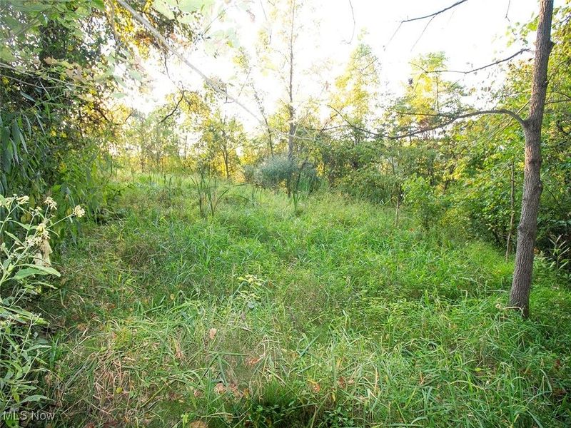 8 acres Whiskey Run Road, Quaker City, OH 43773 Photo 12