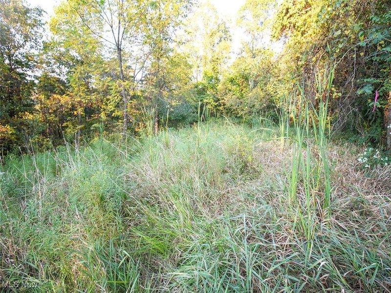 8 acres Whiskey Run Road, Quaker City, OH 43773 Photo 13