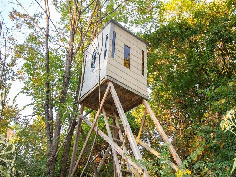 8 acres Whiskey Run Road, Quaker City, OH 43773 Photo 14